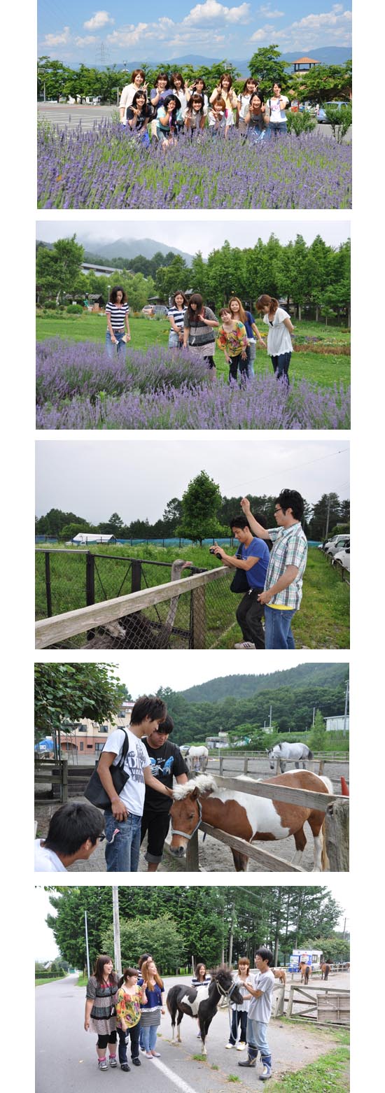 信州の風 みはらしファーム.jpg