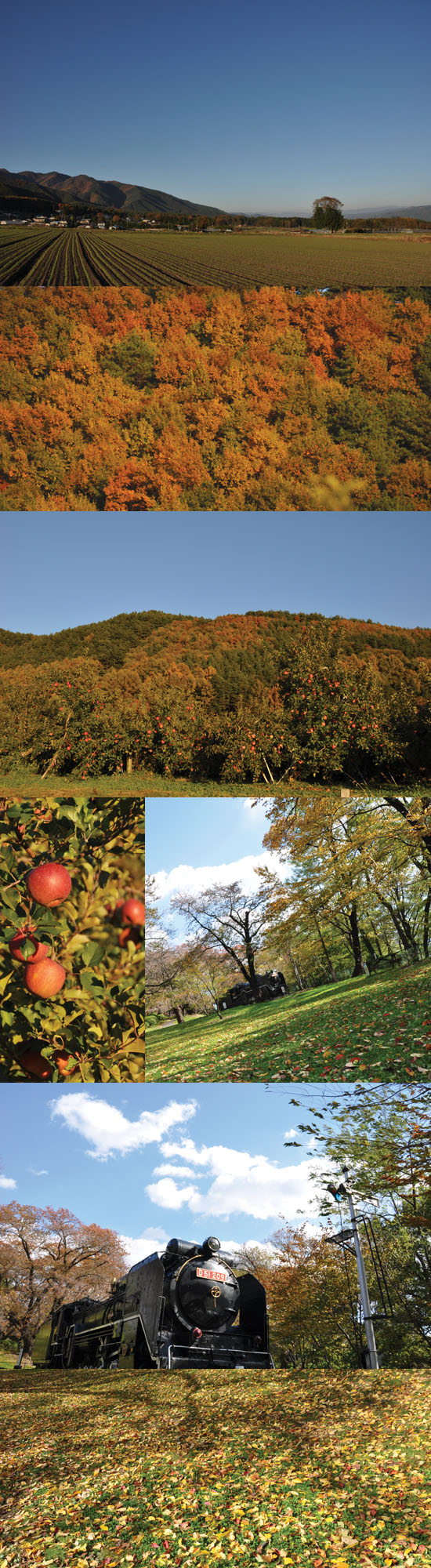 2010紅葉01.jpg